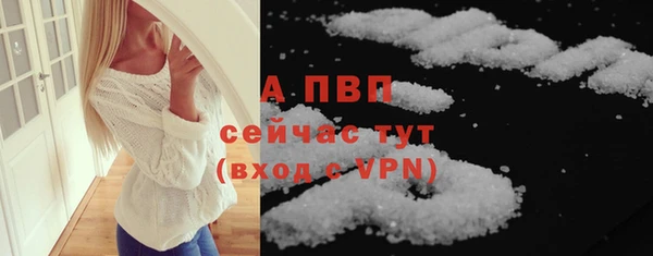 молекула духа Ельня