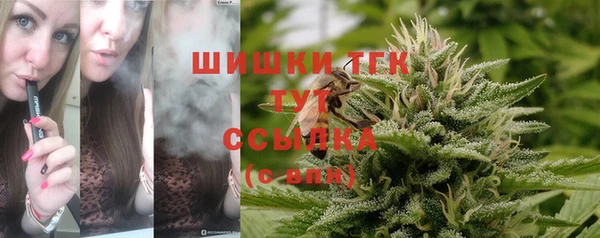 мдпв Дмитров