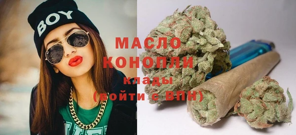мдпв Дмитров